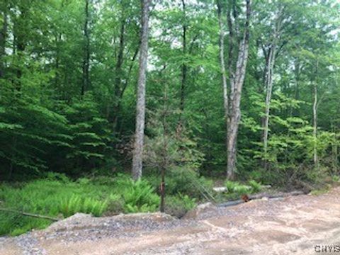 Lot #4 Lillian's Lane Cleveland NY 13042