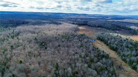 Vacant Land For Sale - LOT 3 Jerseyfield Road<br/> Salisbury, NY 13365