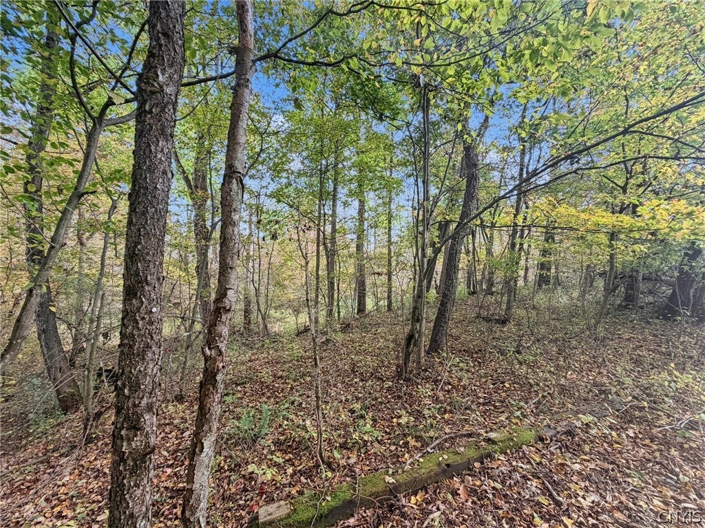 881 W State Road
