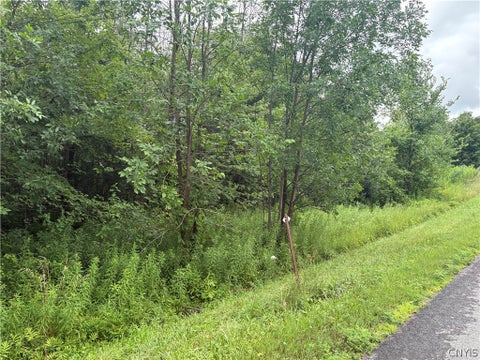 Vacant Land For Sale - Red School House Road<br/> Palermo, NY 13069
