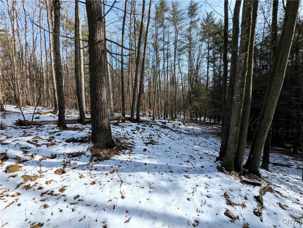3539 Markle Hollow Road, Corning, New York image 38
