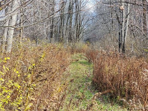 Rt-294 Boonville NY 13309