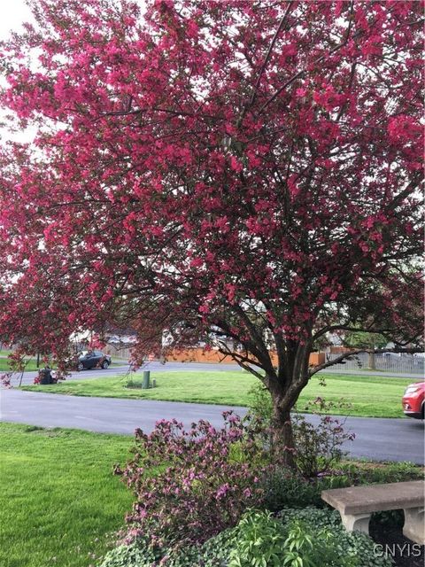 Tiny photo for 8205 Boatwatch Drive, Clay, NY 13027 (MLS # S1655473)