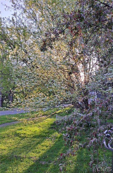 Tiny photo for 231 S Washington Street, Wilna, NY 13619 (MLS # S1723886)