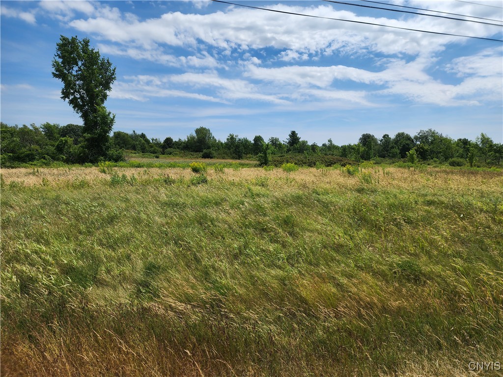 38094 State Route 37