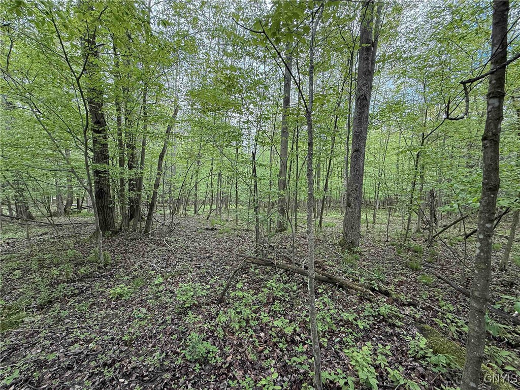 3304 Co Rd 22, Cameron, New York image 25