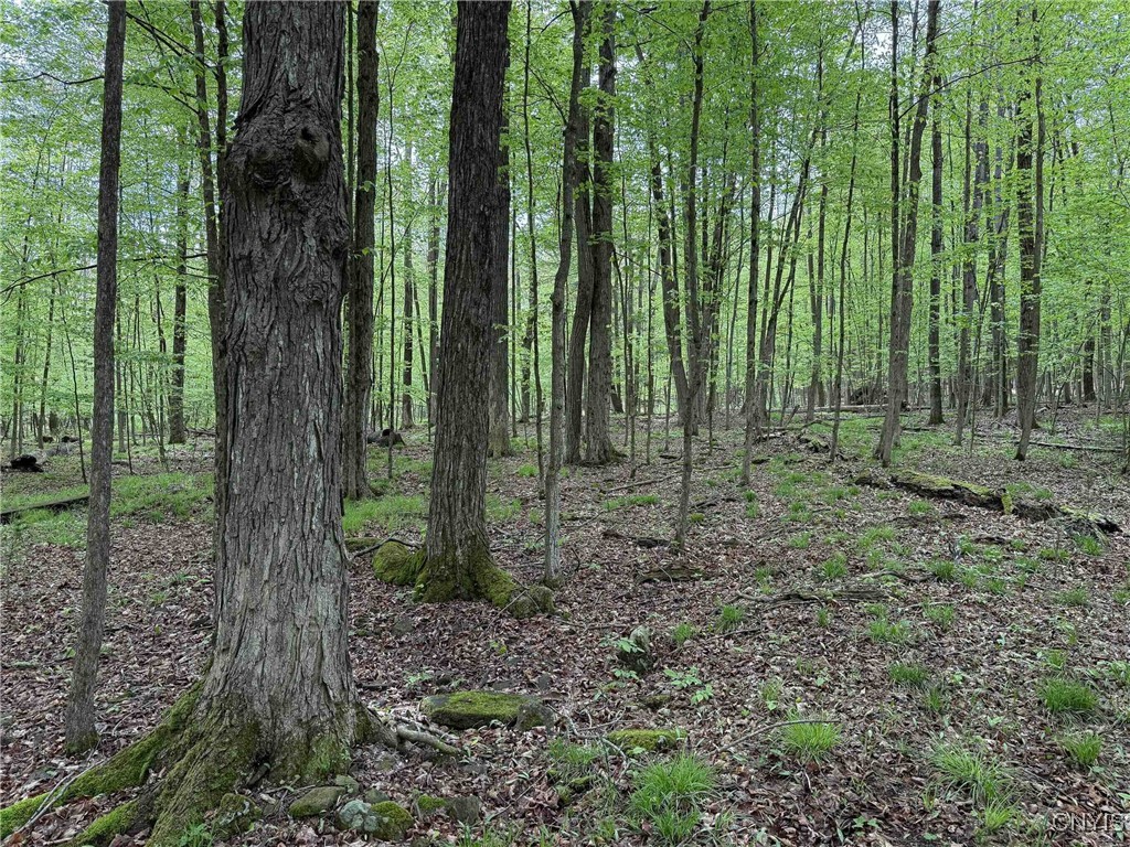 3304 Co Rd 22, Cameron, New York image 23