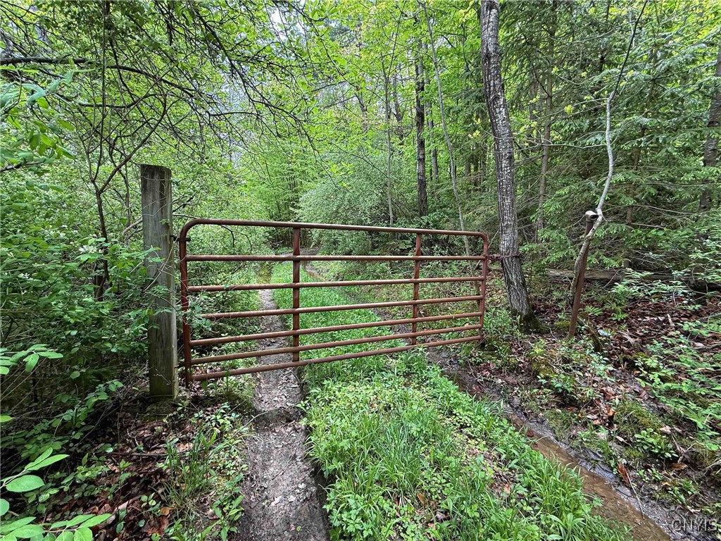 3304 Co Rd 22, Cameron, New York image 35