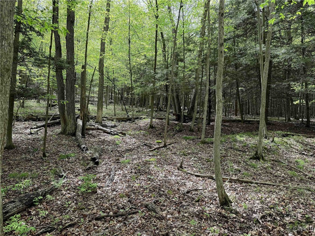 3304 Co Rd 22, Cameron, New York image 33