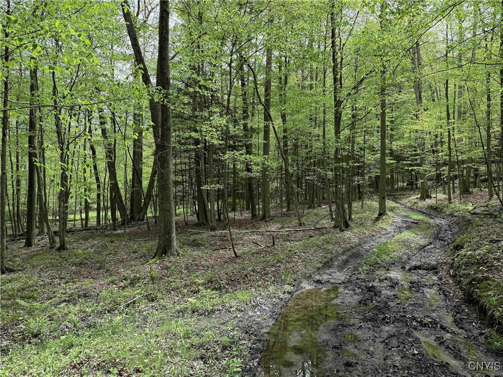 3304 Co Rd 22, Cameron, New York image 38