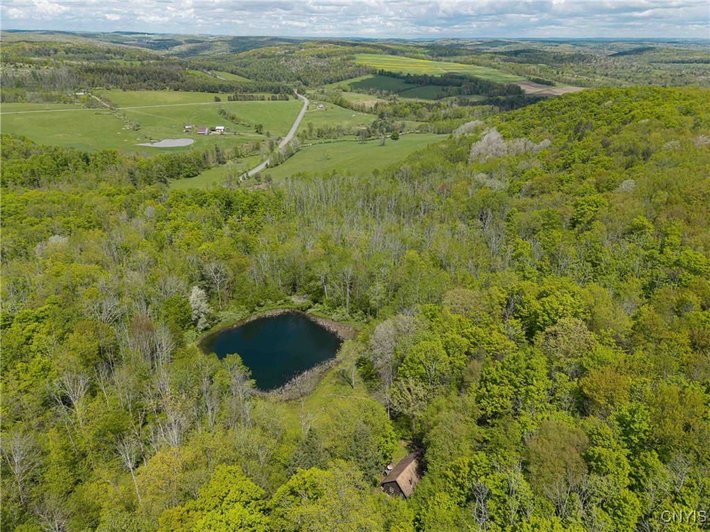 3304 Co Rd 22, Cameron, New York image 3