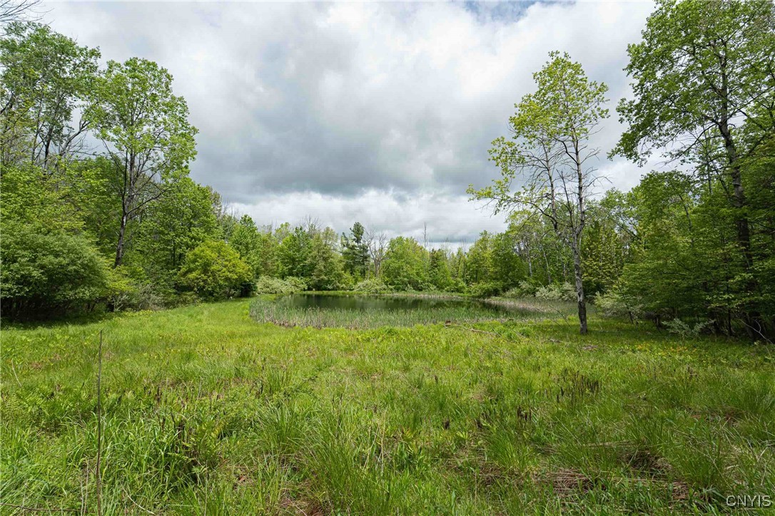 3304 Co Rd 22, Cameron, New York image 40
