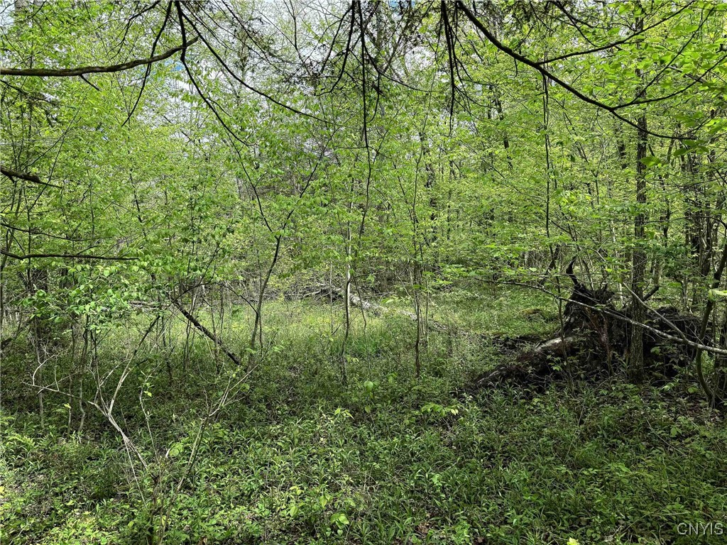3304 Co Rd 22, Cameron, New York image 27