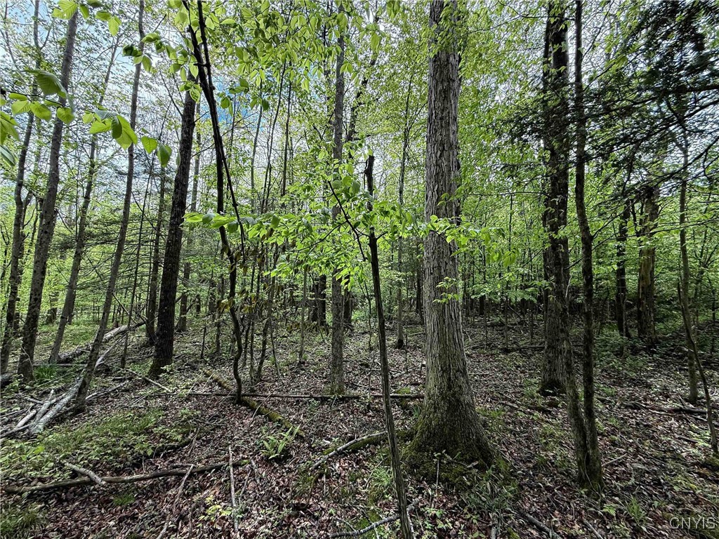 3304 Co Rd 22, Cameron, New York image 24