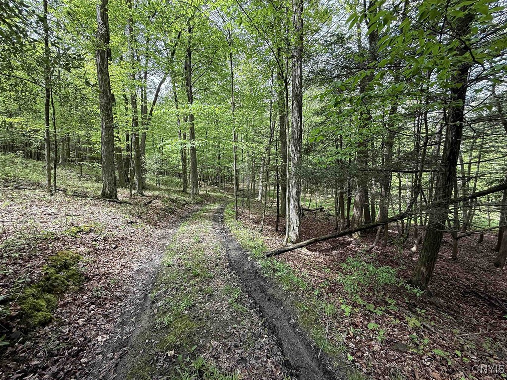 3304 Co Rd 22, Cameron, New York image 36