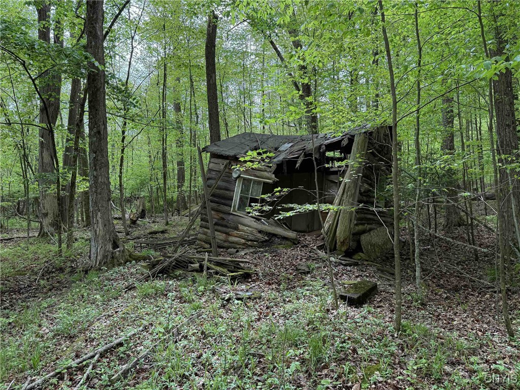 3304 Co Rd 22, Cameron, New York image 26