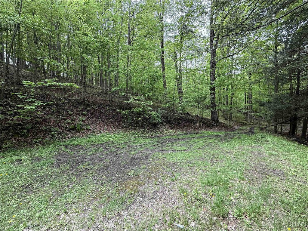 3304 Co Rd 22, Cameron, New York image 21