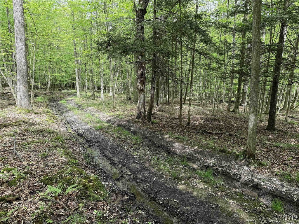 3304 Co Rd 22, Cameron, New York image 37