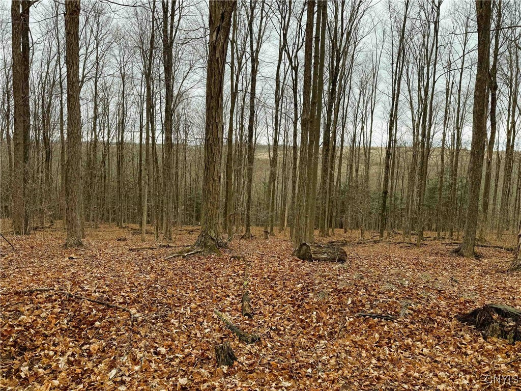 3304 Co Rd 22, Cameron, New York image 41
