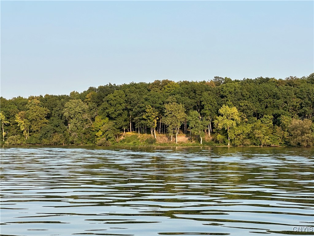 3625 State Route 90 Lot 6