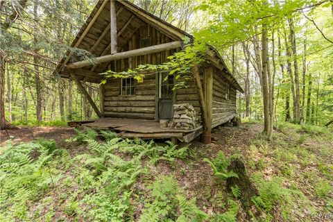4452 Beecher Road Constableville NY 13325