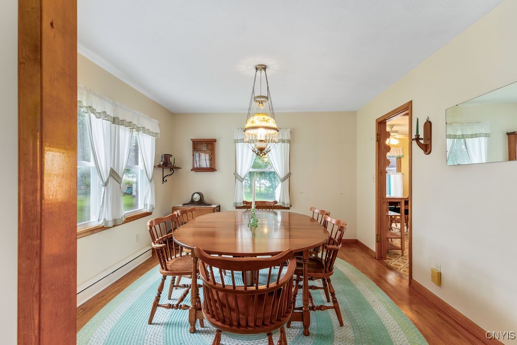 120 Dorothy Street, Manlius, New York image 14