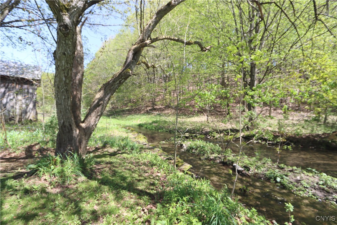 3808 County Route 22, Orwell, New York image 34