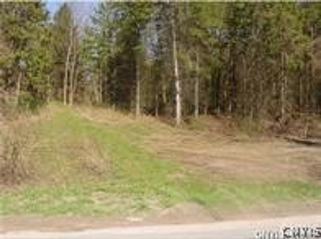 Photo of 0 Nelson Road, Lenox, NY 13032 (MLS # S1667844)