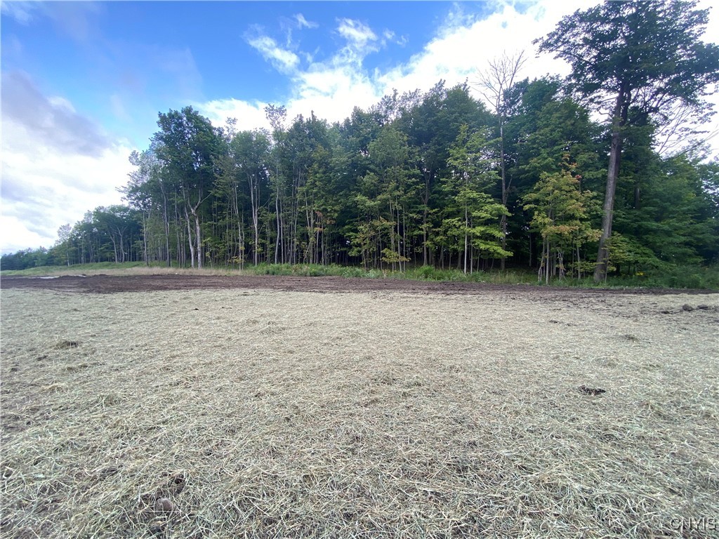 LOT # 2 Harrington Terrace, Manlius, New York image 3