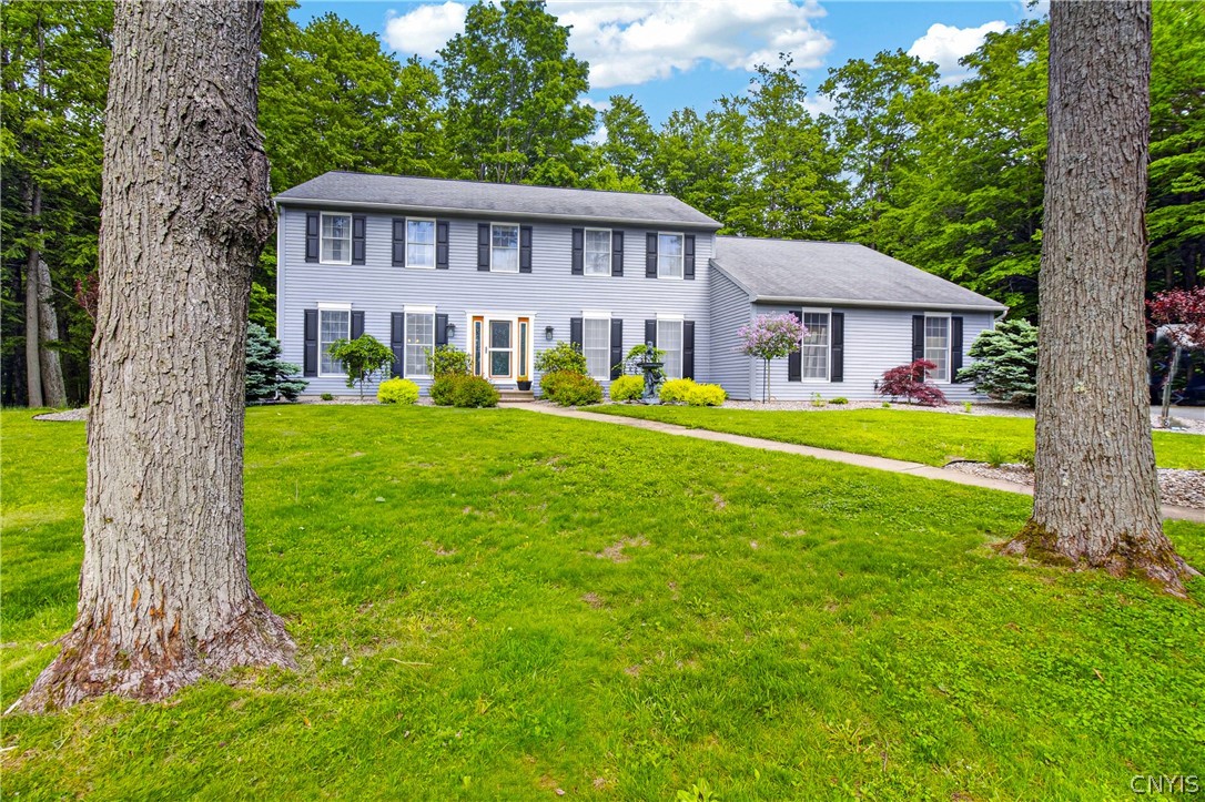 8 Silver Birch Court