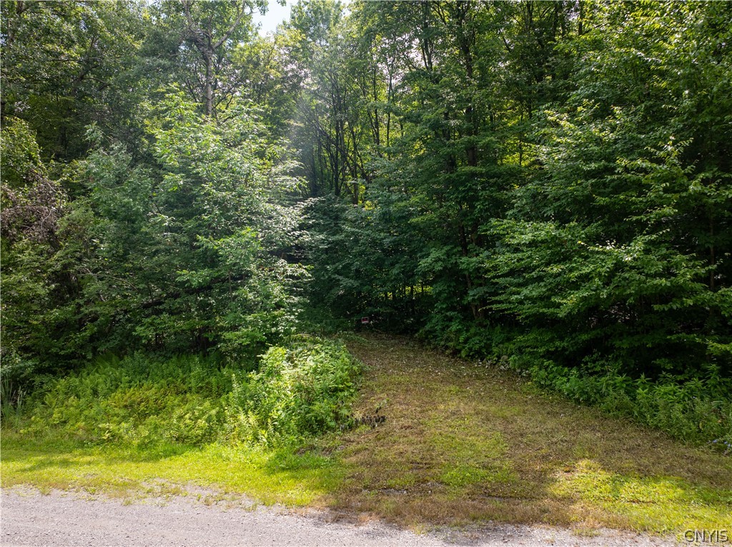 Lot 23 Twin Ponds Drive, Newport, New York image 3