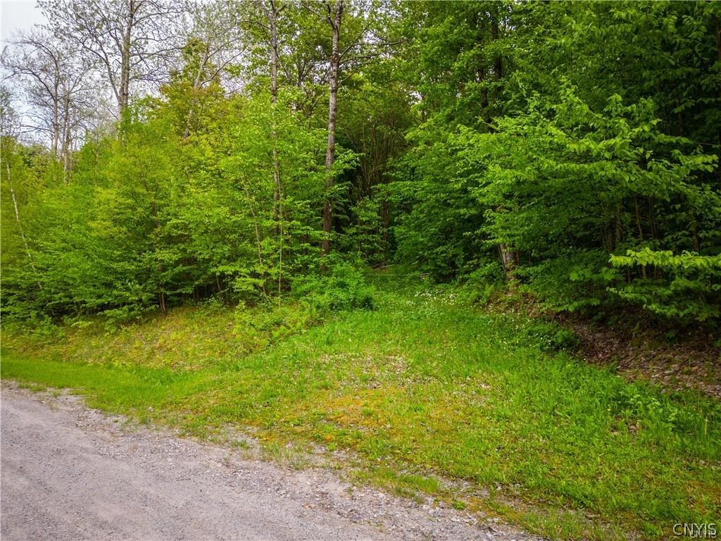 Lot 23 Twin Ponds Drive, Newport, New York image 15