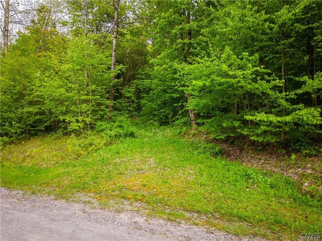 Lot 23 Twin Ponds Drive, Newport, New York image 14