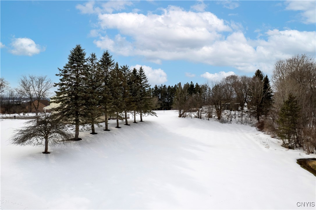6 Donegal Place, New Hartford, New York image 45