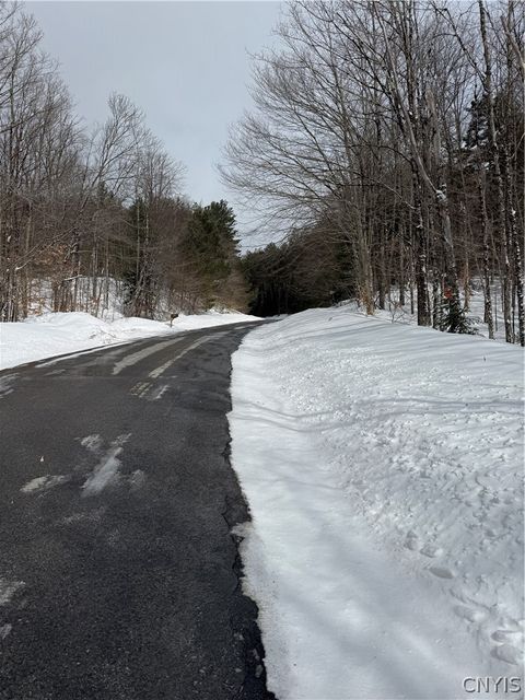 Photo of Lot #3 Roberts Road, Remsen, NY 13438 (MLS # S1666543)