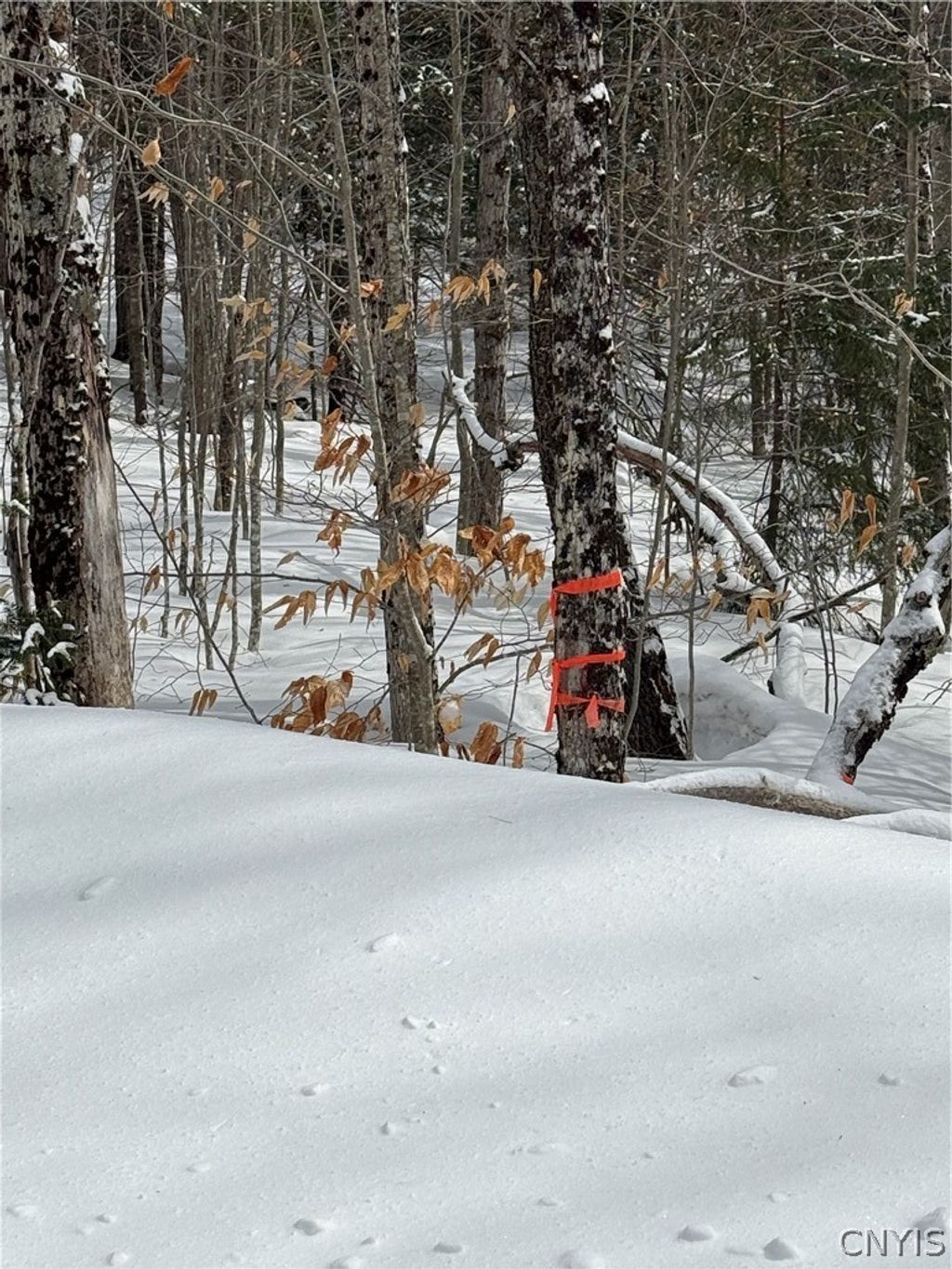 Photo of Lot #3 Roberts Road, Remsen, NY 13438 (MLS # S1666543)