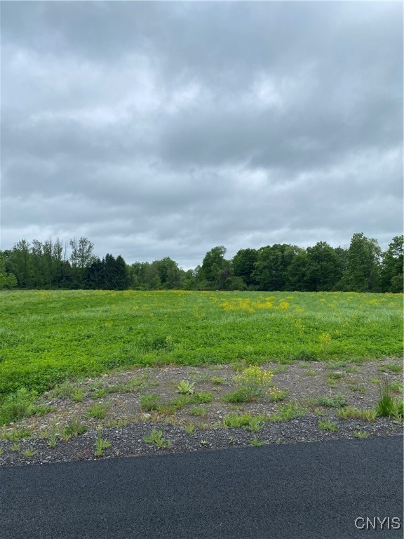 Seymour Lane, Westmoreland, New York image 1