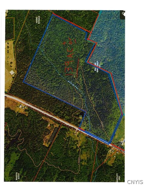 Tiny photo for Rt 8, Ohio, NY 13324 (MLS # S1684768)