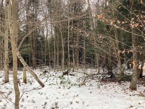 Tiny photo for Rt 8, Ohio, NY 13324 (MLS # S1684768)