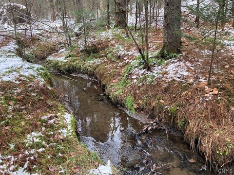 Tiny photo for Rt 8, Ohio, NY 13324 (MLS # S1684768)