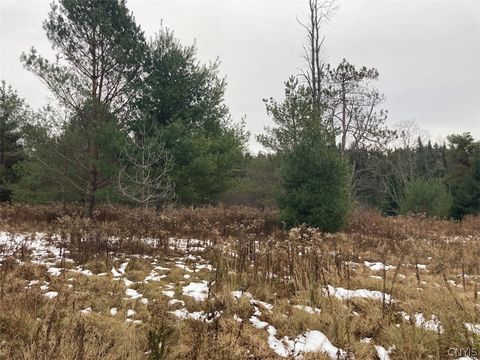 Tiny photo for Rt 8, Ohio, NY 13324 (MLS # S1684768)