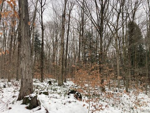 Tiny photo for Rt 8, Ohio, NY 13324 (MLS # S1684768)