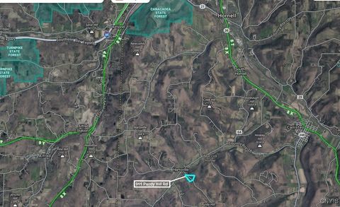 Tiny photo for 911 Purdy Hill Road, Hartsville, NY 14843 (MLS # S1655658)