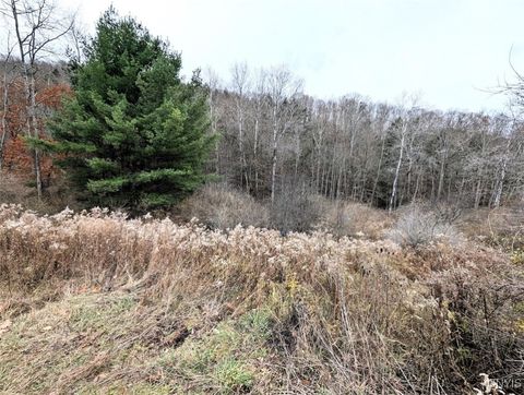 Tiny photo for 911 Purdy Hill Road, Hartsville, NY 14843 (MLS # S1655658)