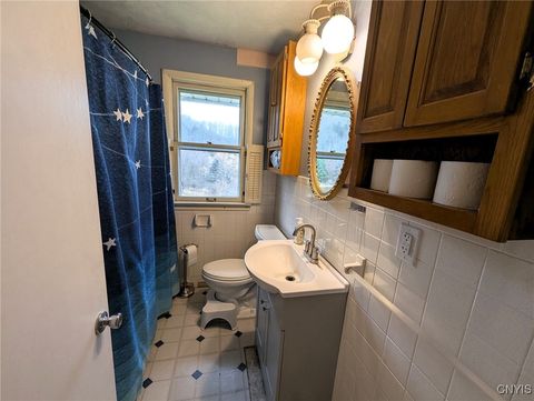 Tiny photo for 911 Purdy Hill Road, Hartsville, NY 14843 (MLS # S1655658)