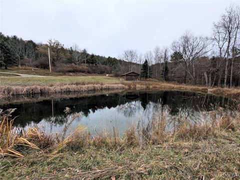 Tiny photo for 911 Purdy Hill Road, Hartsville, NY 14843 (MLS # S1655658)