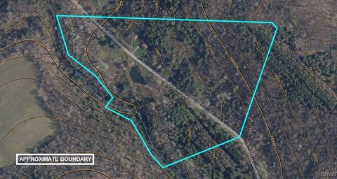 Tiny photo for 911 Purdy Hill Road, Hartsville, NY 14843 (MLS # S1655658)