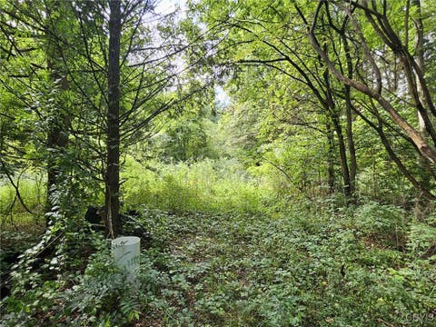 Photo for 680 Cooper Road