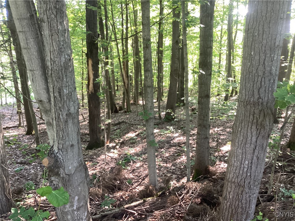 Smith Hill Road