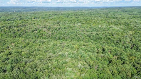 Vacant Land For Sale - Hayloft Trl<br/> Redfield, NY 13493